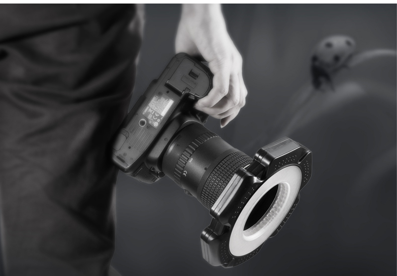 圖立方,LED攝影燈,LED攝像燈,專業(yè)攝影器材廠家,圖立方攝影燈,補(bǔ)光燈,影視器材,攝影燈,環(huán)形燈,直播燈,攝影器材,攝影燈廠家,影視器材廠家,攝影器材廠家 圖立方,LED攝影燈,LED攝像燈,專業(yè)攝影器材廠家,圖立方攝影燈,補(bǔ)光燈,影視器材,攝影燈,環(huán)形燈,直播燈,攝影器材,攝影燈廠家,影視器材廠家,攝影器材廠家