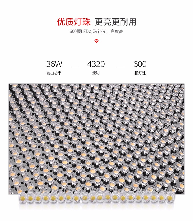 圖立方,LED攝影燈,LED攝像燈,專業(yè)攝影器材廠家,圖立方攝影燈,補光燈,影視器材,攝影燈,環(huán)形燈,直播燈,攝影器材,攝影燈廠家,影視器材廠家,攝影器材廠家